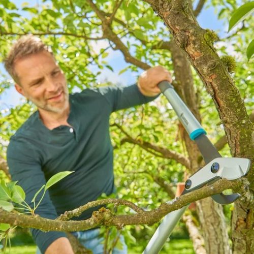 Gardena EnergyCut Basic ágvágó olló