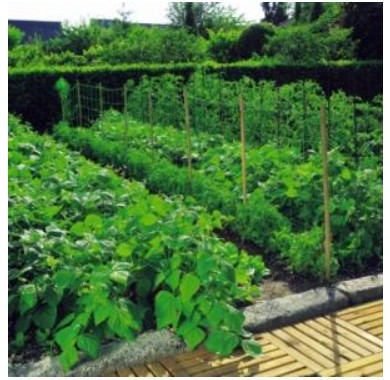 Növénytartó háló 1,2x20m 150x150 natúr