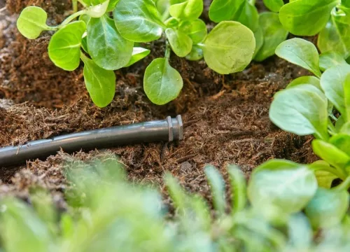 Gardena MD záródugó 4,6 mm (3/16')