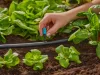 Gardena MD kisfelület-fúvóka