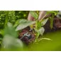 Gardena MD nyomáskiegyenlítős 
sorcsepegtető 2 l/óra