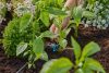 Gardena MD szabályozható sorcsepegtető, 
nyomáskiegyenlítős
