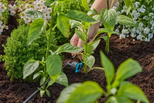 Gardena MD szabályozható sorcsepegtető, 
nyomáskiegyenlítős