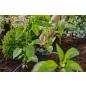   Gardena MD szabályozható sorcsepegtető, 
nyomáskiegyenlítős