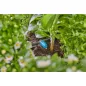 Gardena MD szabályozható sorcsepegtető