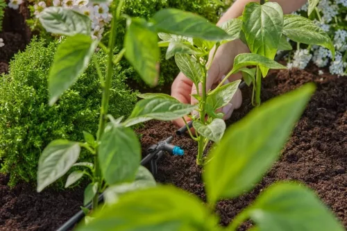 Gardena MD sorcsepegtető 2 l/óra