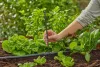 Gardena MD hosszabbítócső 
permetezőfúvókákhoz