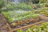 Gardena MD permetező öntözés készlet növényágyásokhoz - 60 m2