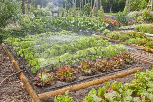 Gardena MD permetező öntözés készlet növényágyásokhoz - 60 m2