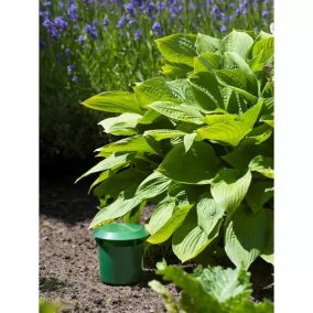 Csigacsapda 2db/-os szett