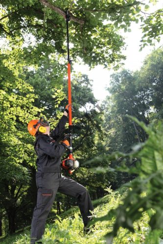 ECHO PPT-2620HES benzines magassági ágvágó