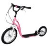 Acra Joy Jolly 16” roller