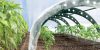 Prosperplast Floo Tunnels fóliasátor 240 cm zöld