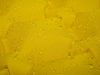 10042_altpic_4.asp