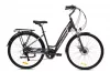 Elektromos kerékpár Capriolo E-City Lady 28 EBIKE ezüstszürke