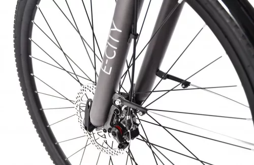 Elektromos kerékpár Capriolo E-City Lady 28 EBIKE ezüstszürke