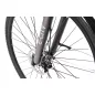   Elektromos kerékpár Capriolo E-City Lady 28 EBIKE ezüstszürke