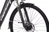Elektromos kerékpár Capriolo E-City Lady 28 EBIKE ezüstszürke