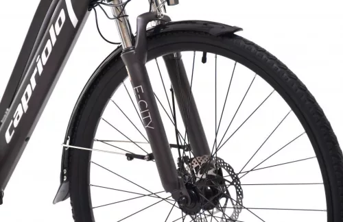 Elektromos kerékpár Capriolo E-City Lady 28 EBIKE ezüstszürke