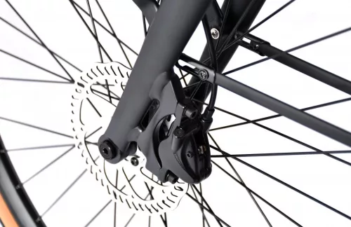 Elektromos kerékpár Capriolo E-CITY BELT DRIVE 28" fekete - szürke