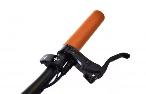 Elektromos kerékpár Capriolo E-CITY BELT DRIVE 28" fekete - szürke