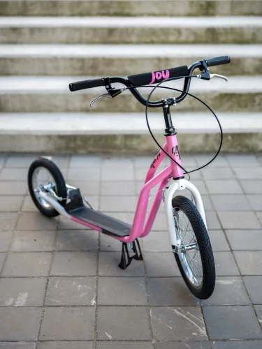 Acra Joy Jolly 16” roller