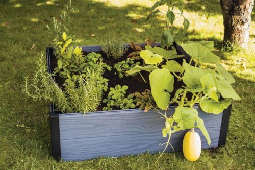 Keter Maple Square magaságyás grafit színben