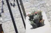 8624_altpic_1.asp