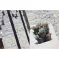 8624_altpic_1.asp