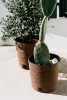 8398_altpic_3.asp