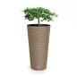 Virágcserép Prosperplast FURU SLIM ECO WOOD 30 cm, naturo