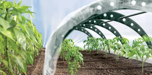 Prosperplast Floo Tunnels fóliasátor 360 cm zöld
