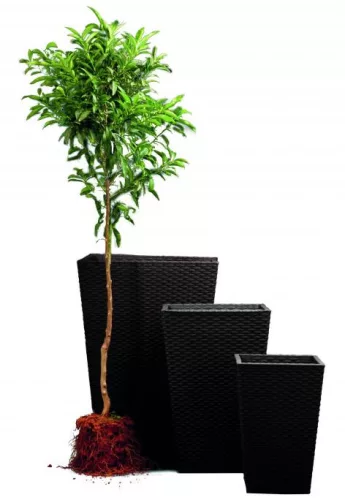 Keter Rattan kaspó S 23,6 l grafit