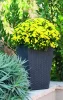 Keter Rattan kaspó S 23,6 l grafit