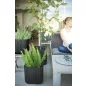 Keter Cube Planter S virágláda antracit