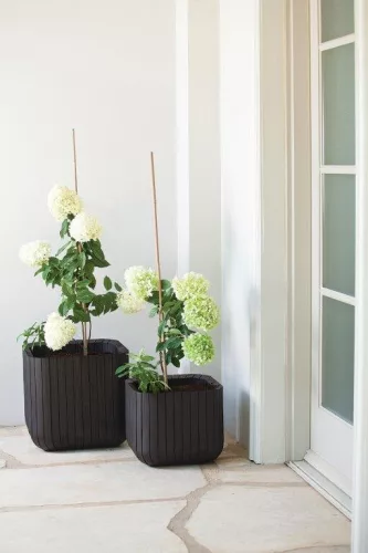 Keter Cube Planter S virágláda antracit