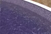8717_altpic_1.asp