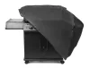 G21 Michigan BBQ grillhuzat