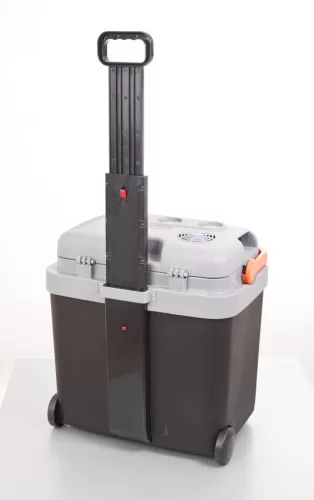 10253