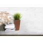 8885_altpic_2.asp