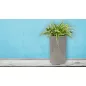 G21 Natur Tube virágcserép 35 x 70 x 35