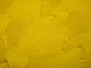 10042_altpic_4.asp