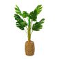 Műnövény dekoráció - filodendron - 1 m