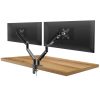 Delight Monitor&TV tartókonzol - dupla karos, teleszkópos - asztallapra rögzíthető (39684)