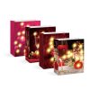 Family Ajándéktasak - 10 melegfehér LED, papír - 265 x 127 x 330 mm - 4 féle / csomag