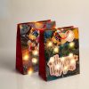 Family Ajándéktasak - 10 melegfehér LED, papír - 265 x 127 x 330 mm - 2 féle / csomag 58324
