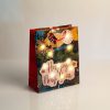 Family Ajándéktasak - 10 melegfehér LED, papír - 265 x 127 x 330 mm - 2 féle / csomag 58324