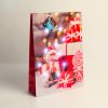 Family Ajándéktasak - 10 hidegfehér LED, papír - 330 x 102 x 457 mm - 4 féle / csomag