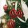 FamilyChristmas Karácsonyfadísz szett - glitteres piros gömbdísz - 7 cm - 6 db / csomag