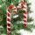 FamilyChristmas Karácsonyfadísz szett - piros / fehér cukorbot - 13 cm - 6 db / szett